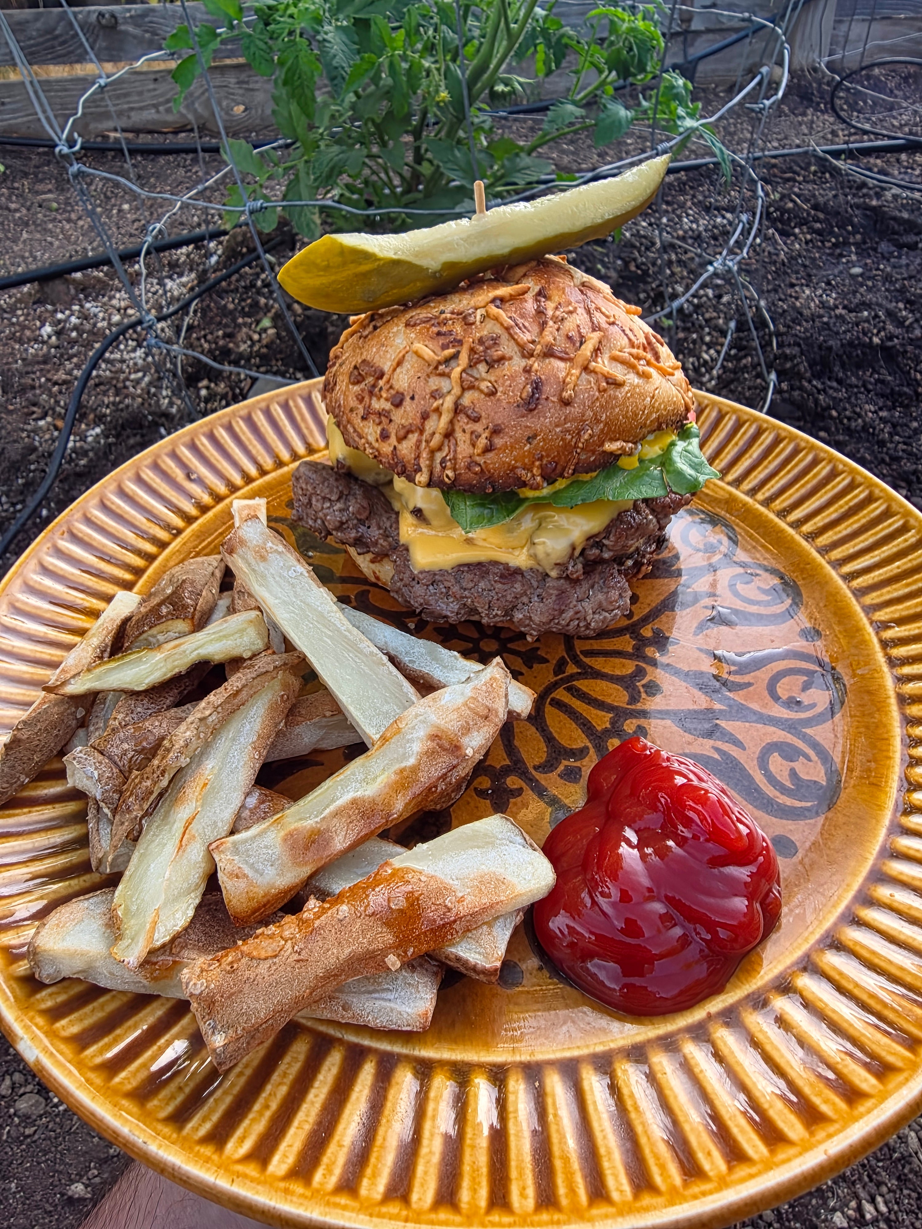 Burger and Fries