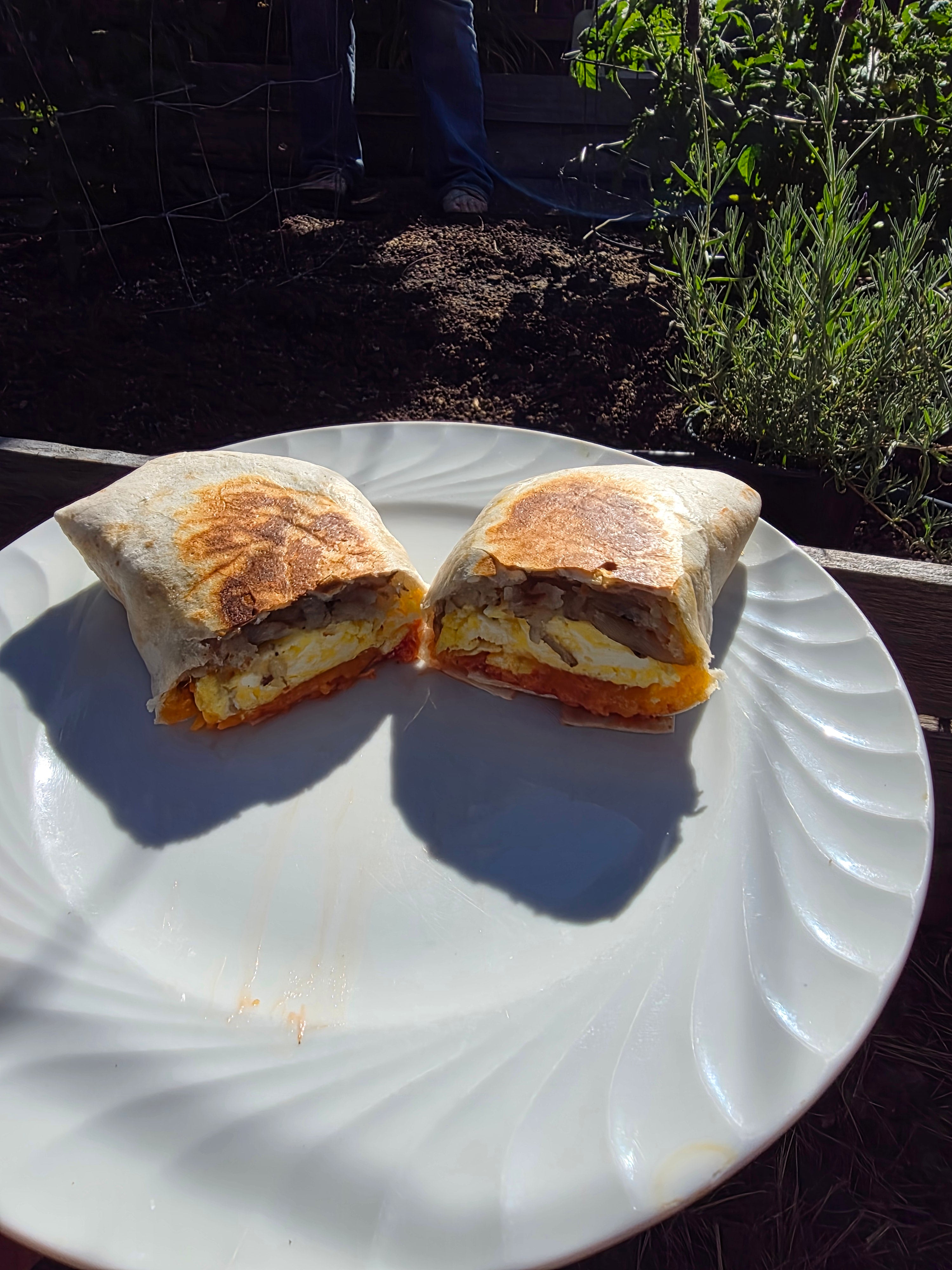 Breakfast Burrito