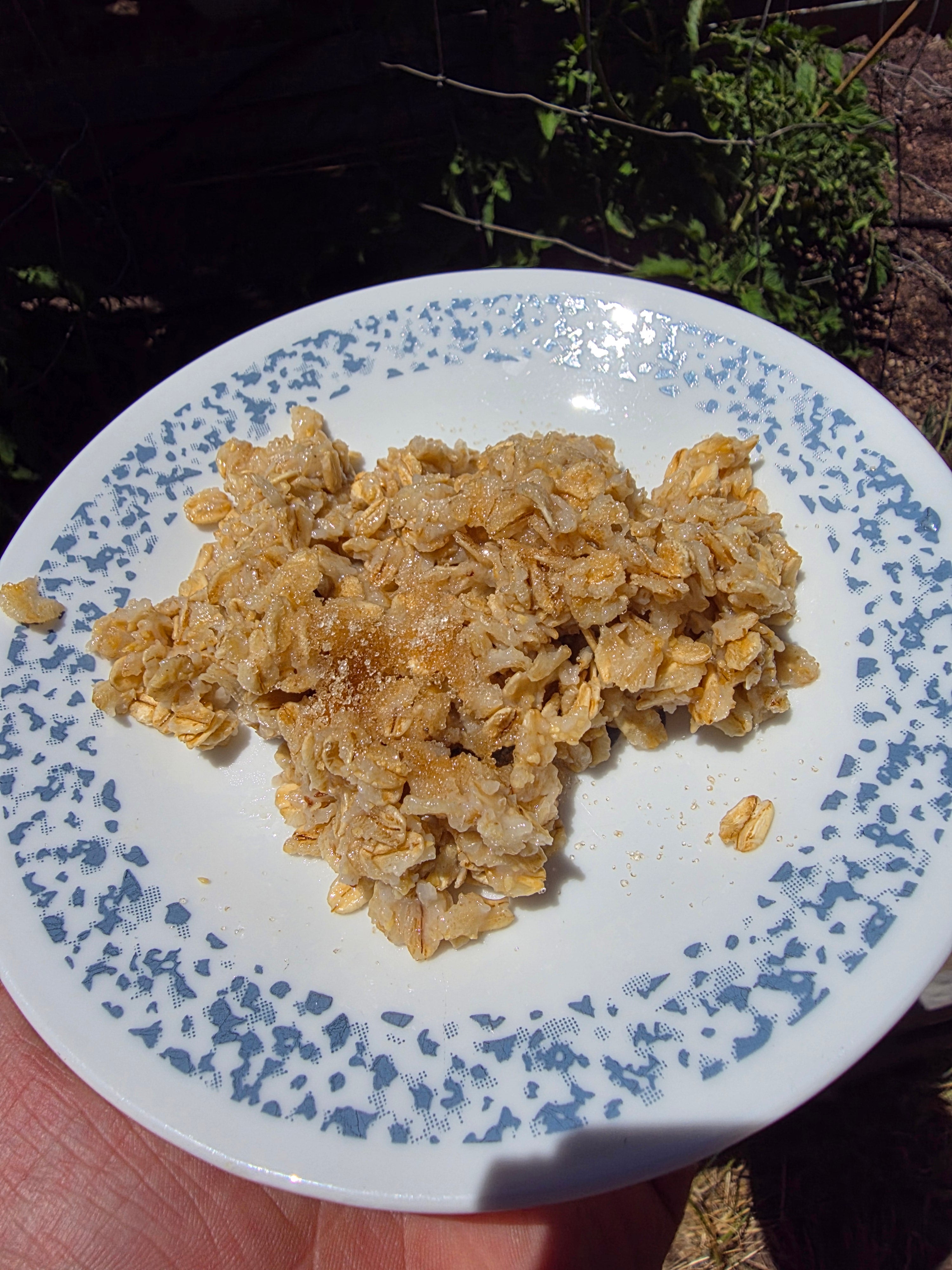 Oatmeal