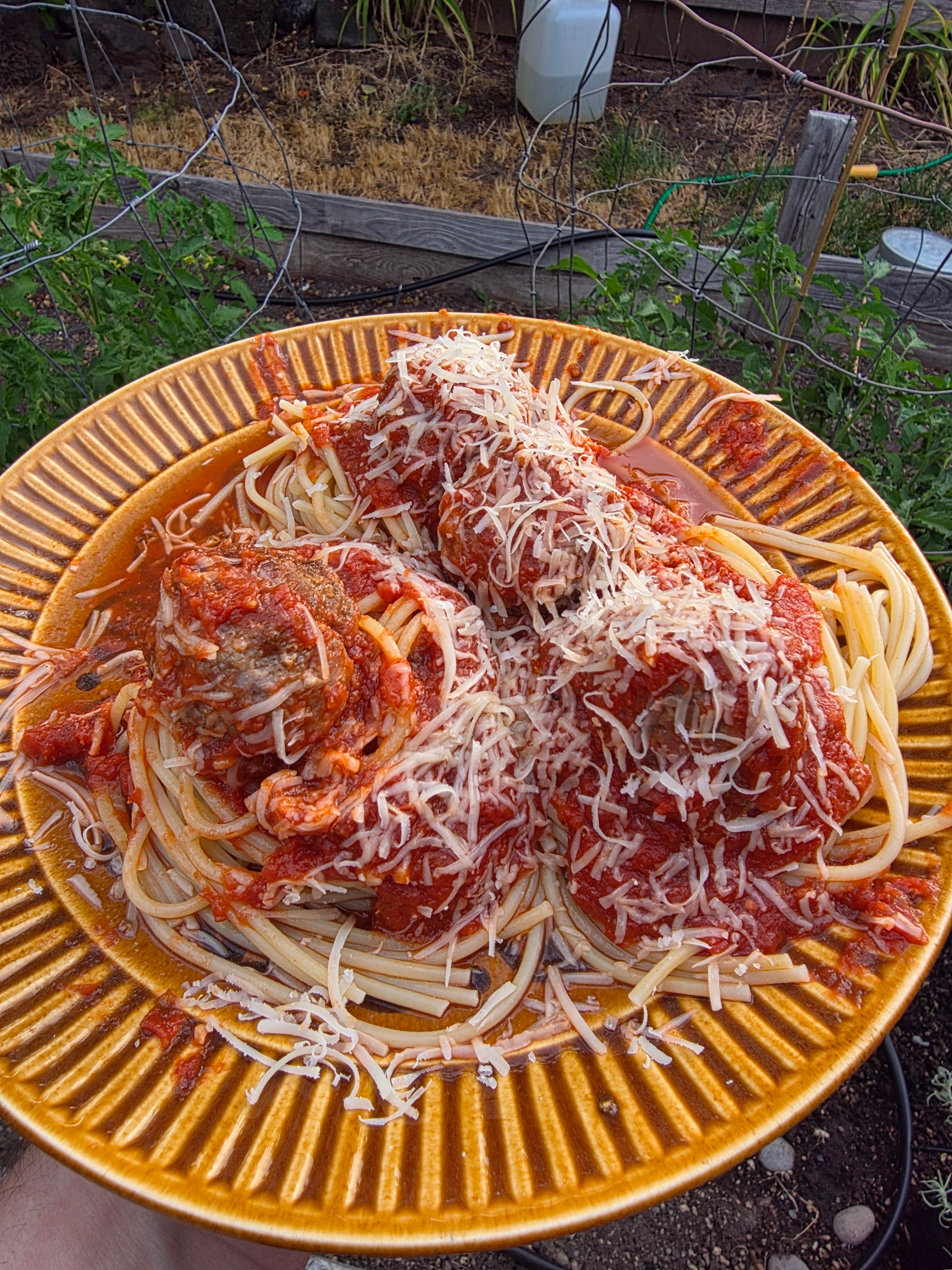 Spaghetti and Meatballs