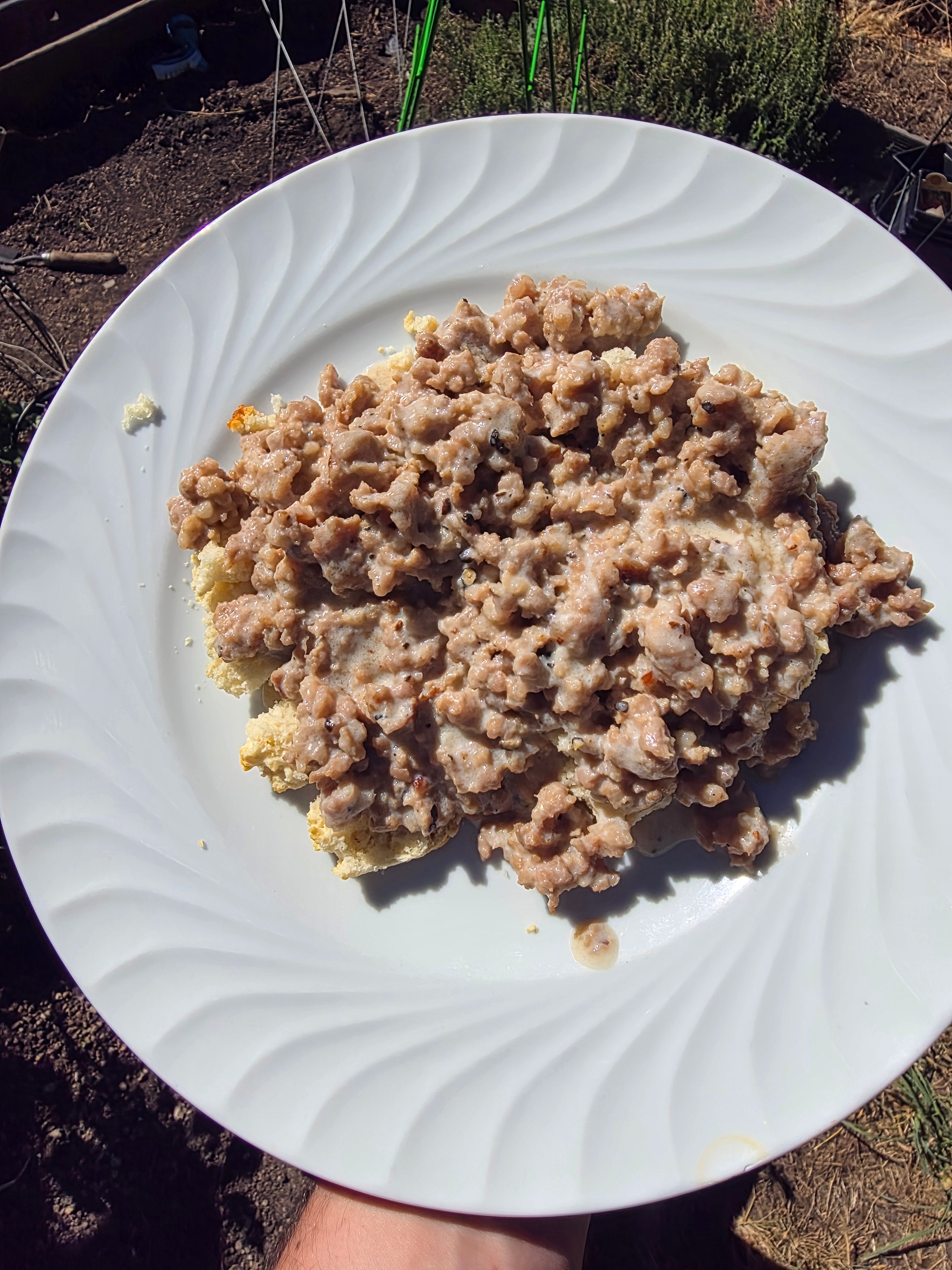 Biscuits and Gravy