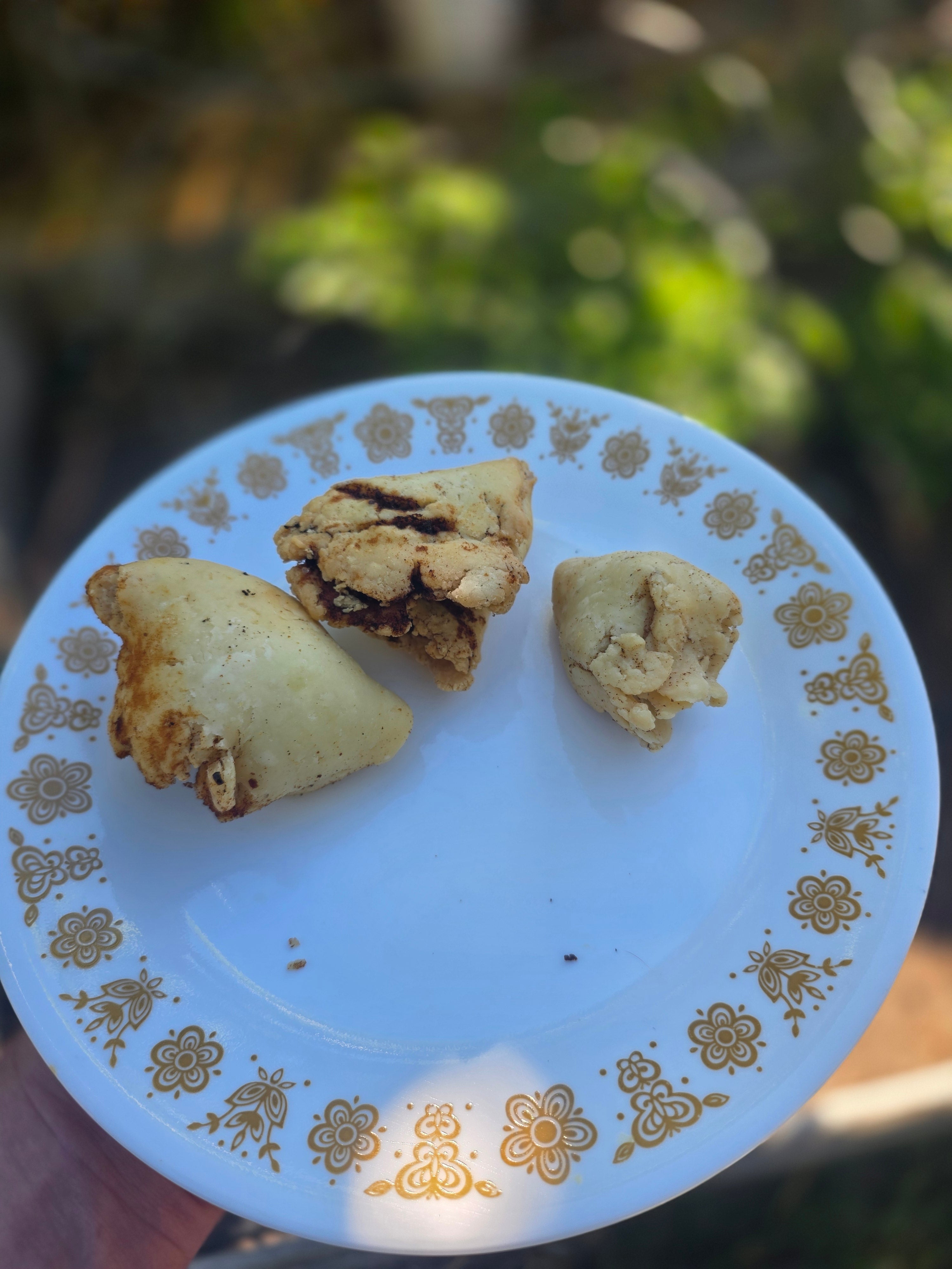 Samosas