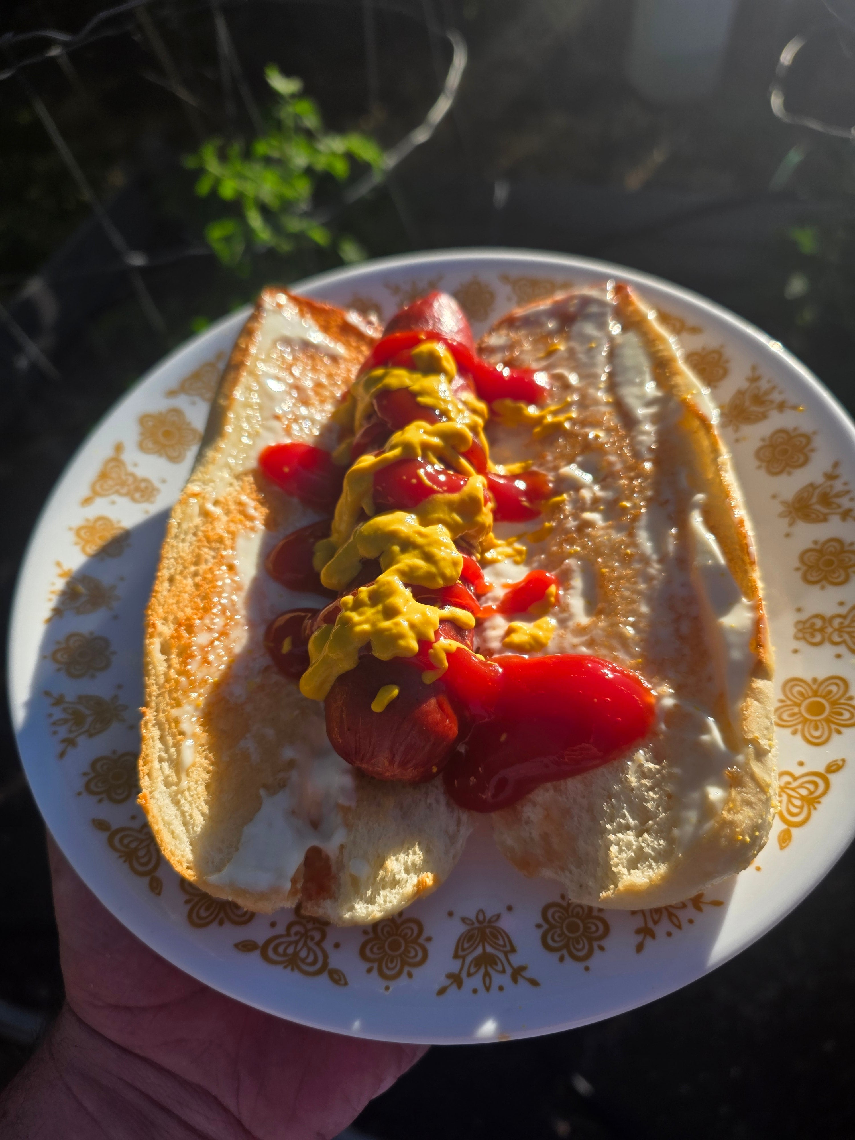Hot Dogs